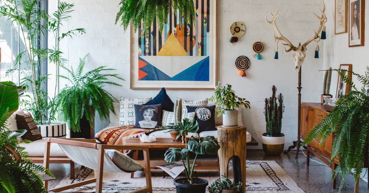 Houseplants are the perfect addition to any home. Learn how to take care of a houseplant, and find out what kind of plant is best for your home situation.