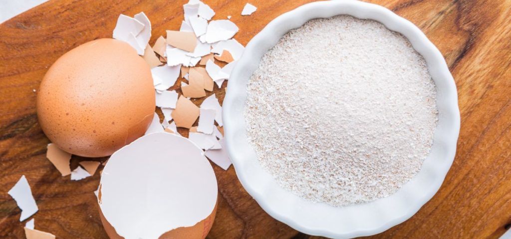 How do you get eggshells ready for use with plants?