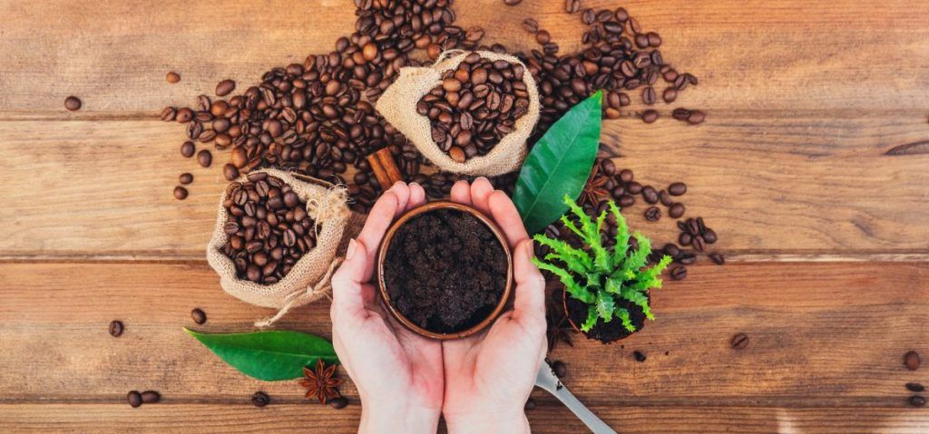 Your houseplants may benefit from the addition of coffee grounds.