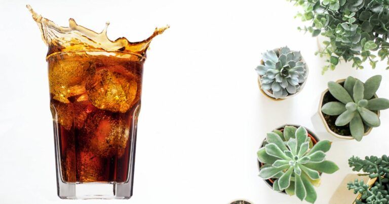 Is Coke Good for Plants? (Explained)