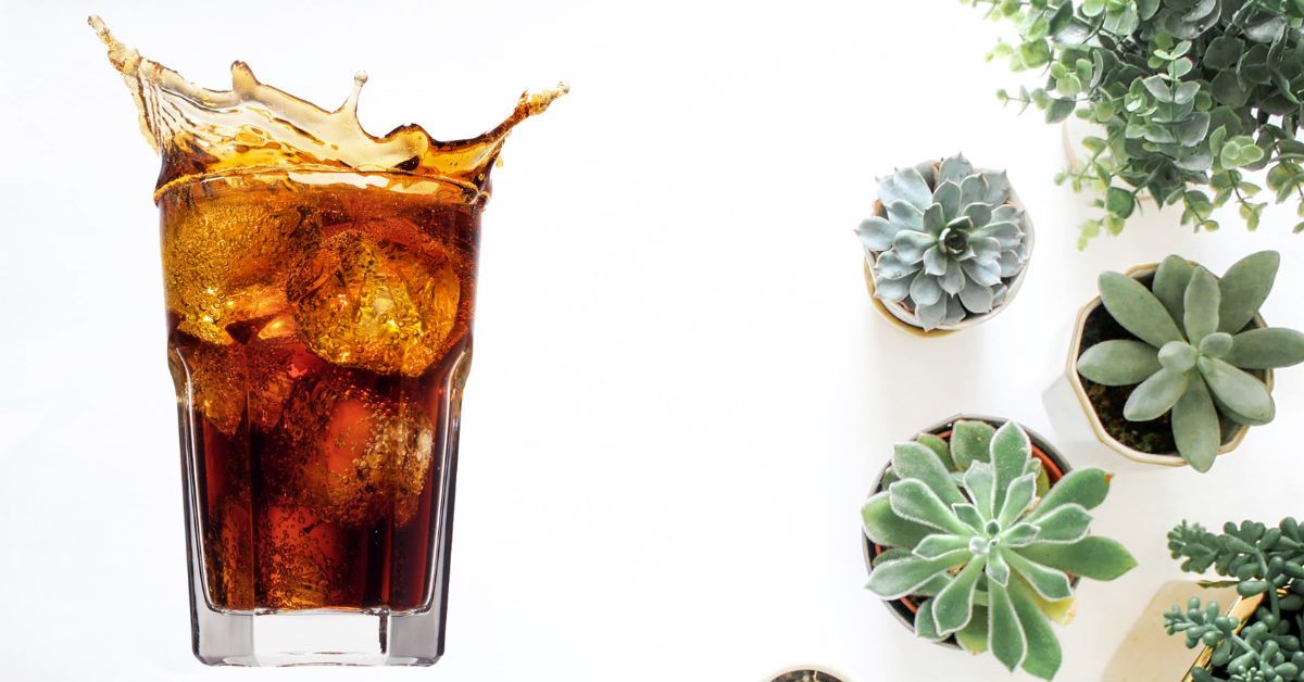 Is coke healthy for plants to drink?